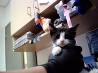 A1049098 - Photo 1