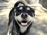 MORRIS - Photo 1