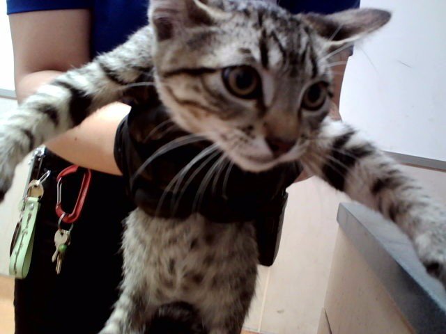 OLIVER Image