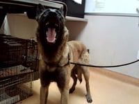 RIGGINS - Photo 1