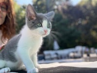 EARL - Photo 1