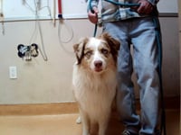 WOODY - Photo 1