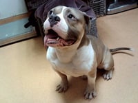 BUZZ - Photo 1