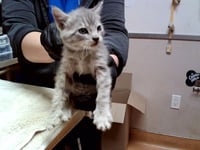 A1047990 - Photo 1