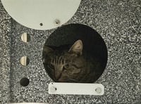 LEROY - Photo 1