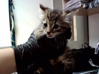 A1050000 - Photo 1