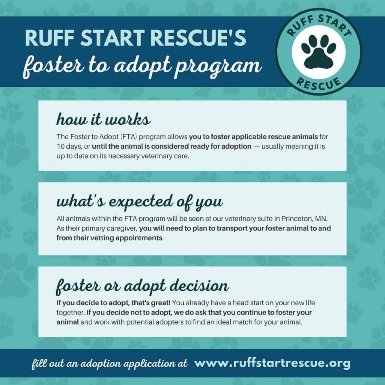 COLT - Pit Bull Terrier / Australian Cattle Dog/Blue Heeler available for adoption