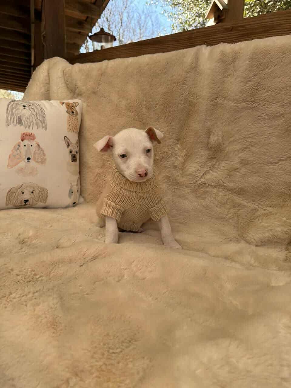 River *Arriving 2/20* - Photo 4