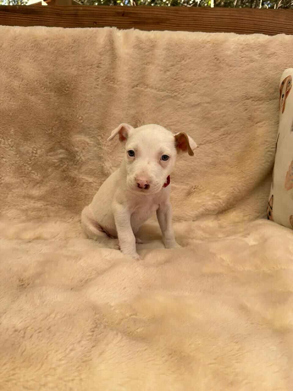 River *Arriving 2/20* - Photo 5