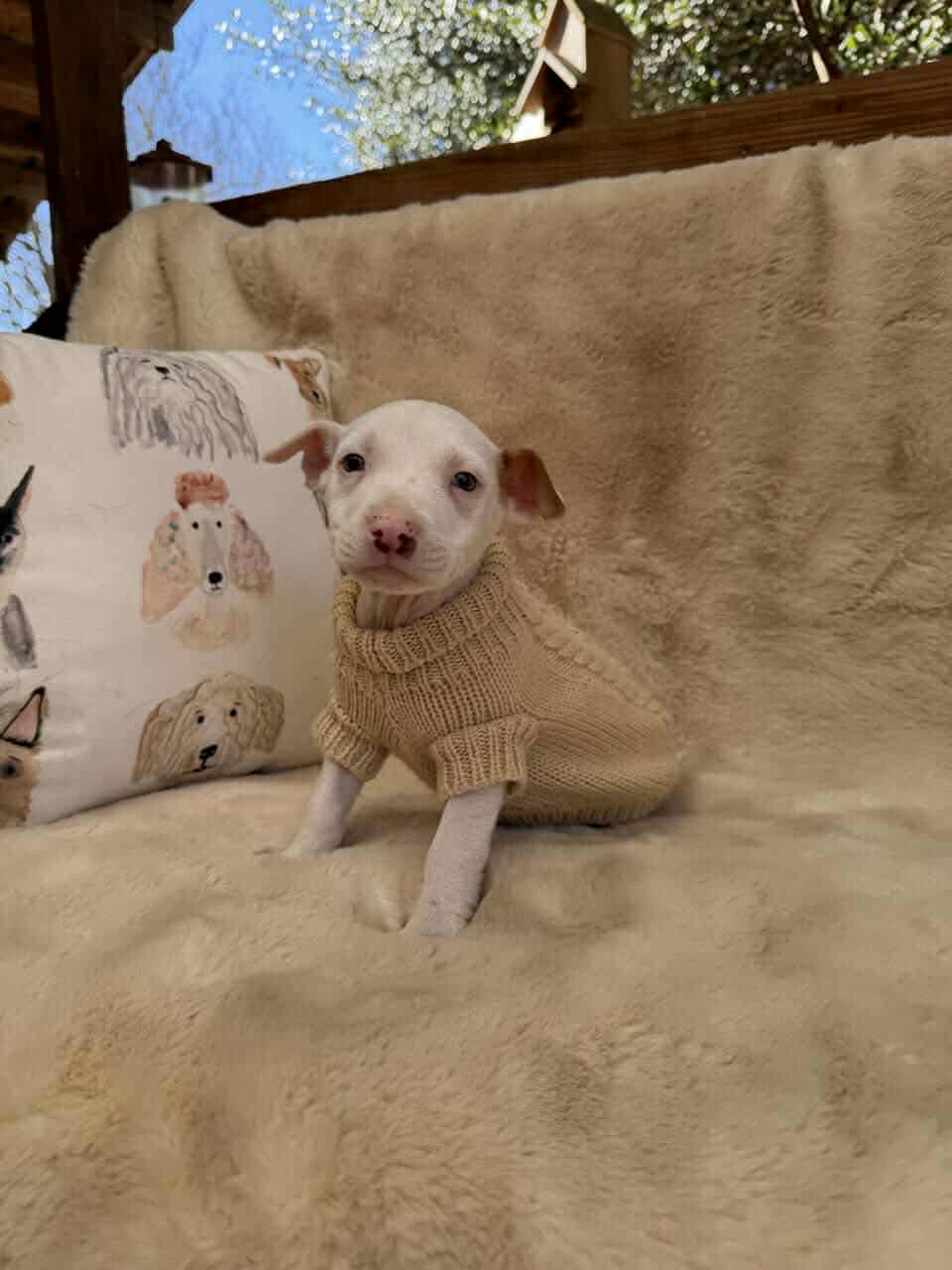 River *Arriving 2/20* - Photo 6