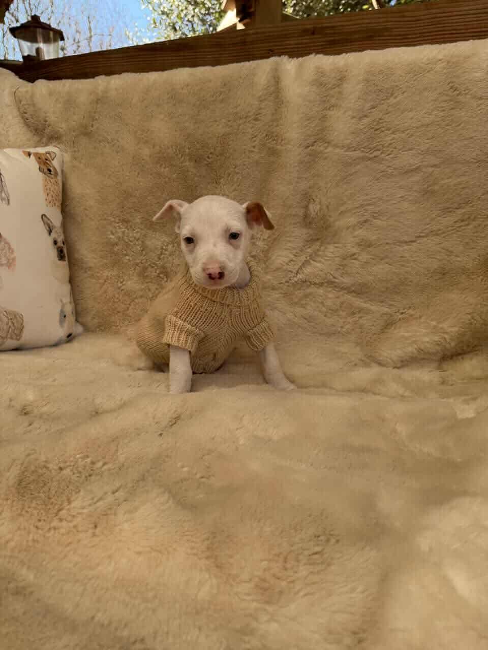 River *Arriving 2/20* - Photo 7