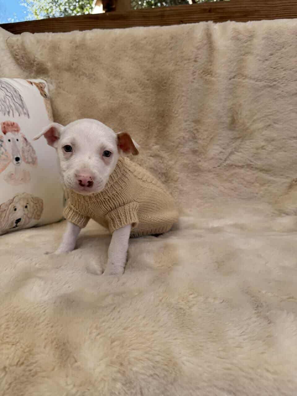 River *Arriving 2/20* - Photo 8