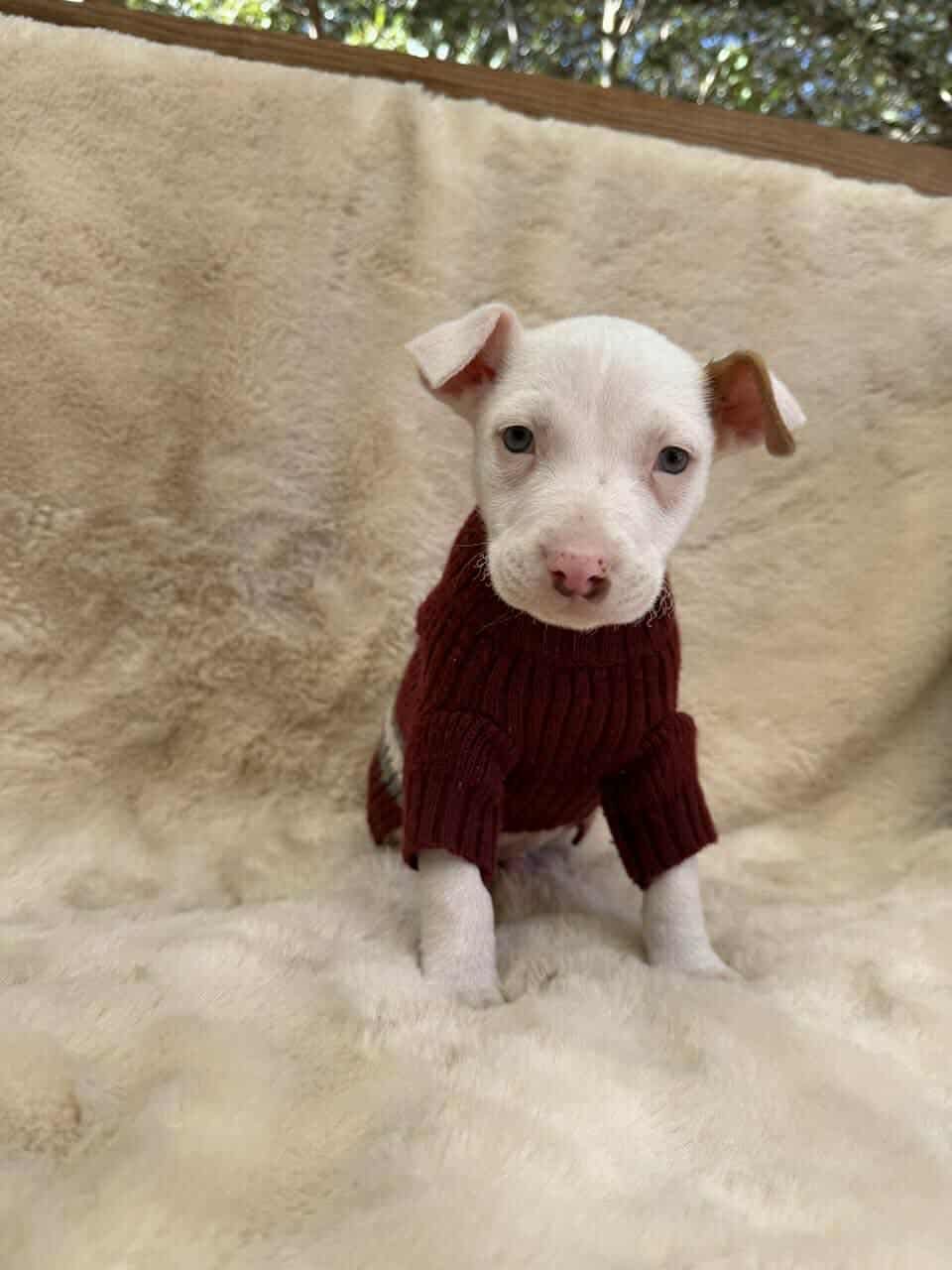 River *Arriving 2/20* - Photo 9