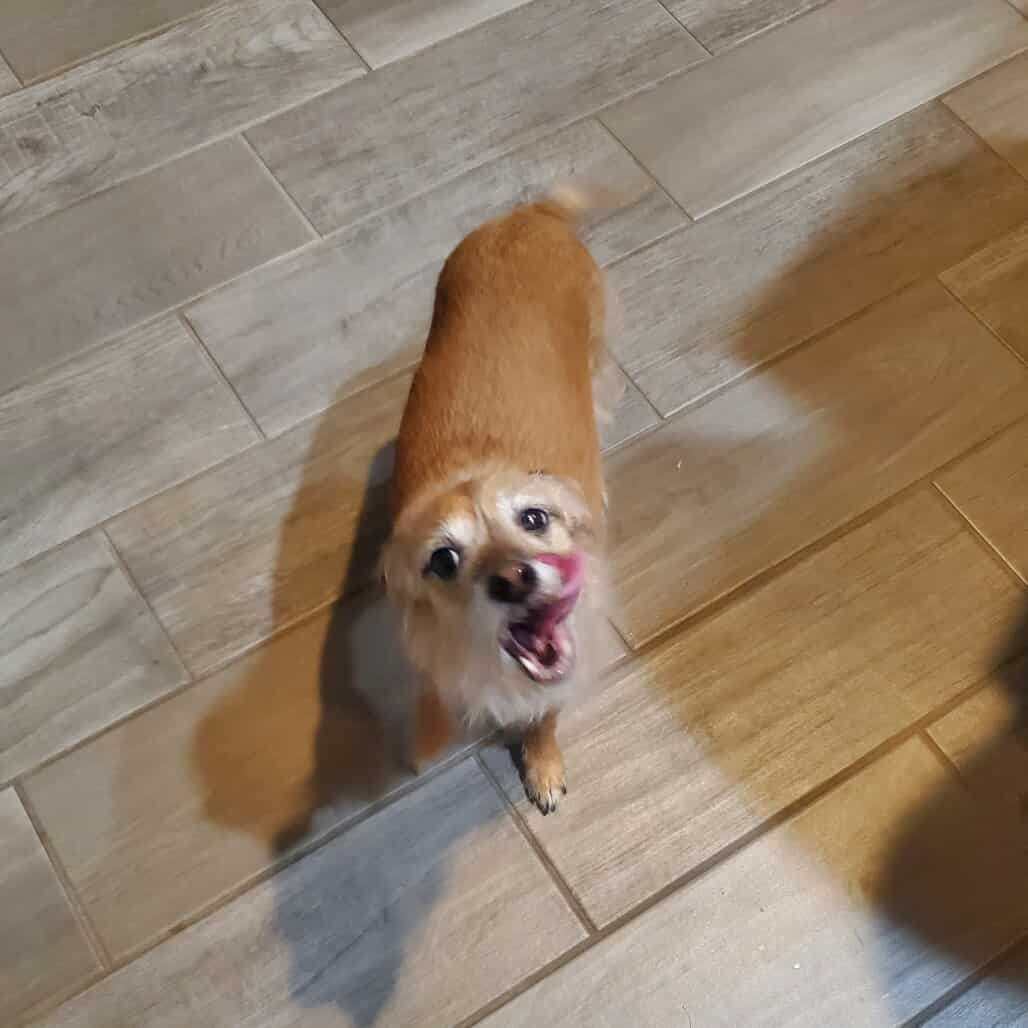 Arianna *Arriving 2/20* - Photo 3