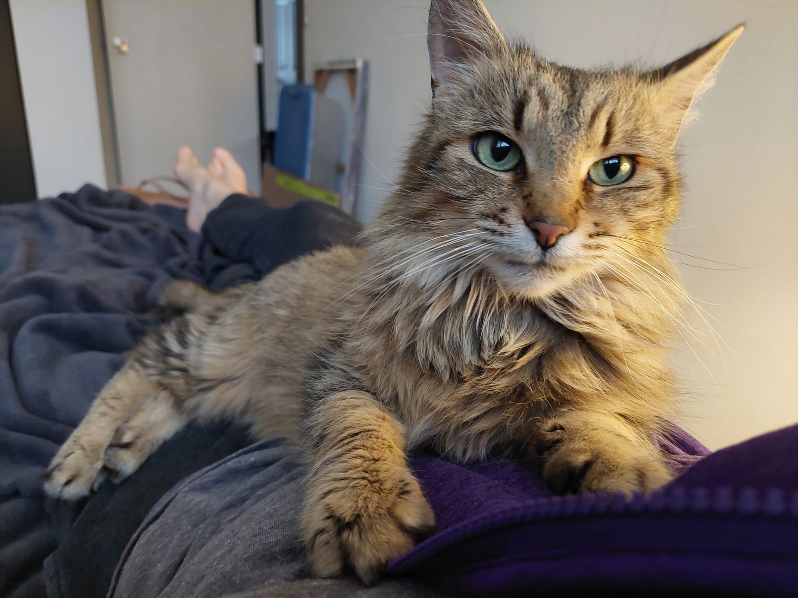 Miss Scrunkle - Photo 3