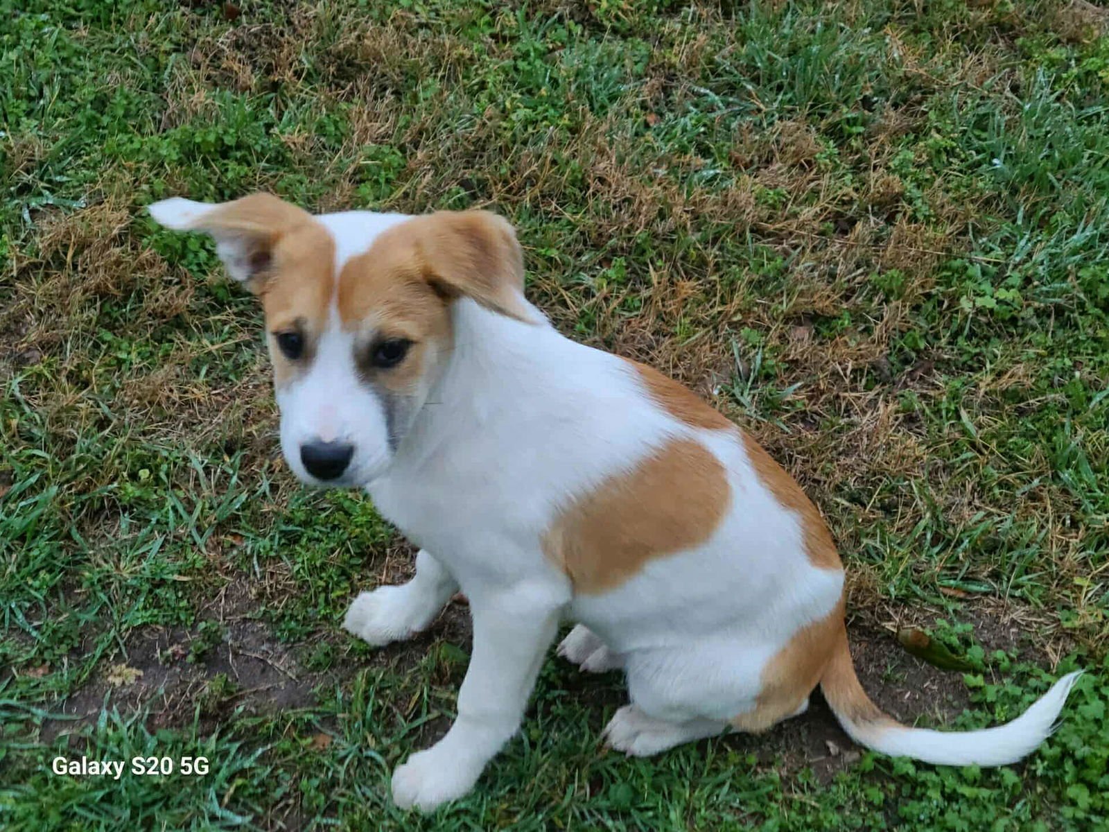 Izzabell *Arriving 2/20* - Photo 3