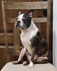 Lexi - Photo 3