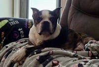 Lexi - Photo 4