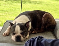 Lexi - Photo 5