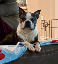 Lexi - Photo 6