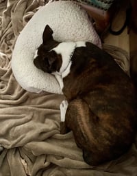 Corey - Photo 2