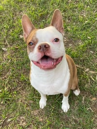 TJ - Photo 3