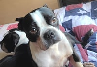 Leila - Photo 2