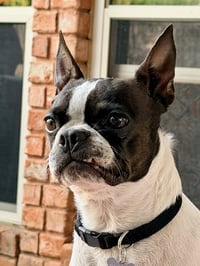 Dakota (May need to update bio) - Photo 3