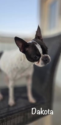 Dakota (May need to update bio) - Photo 9