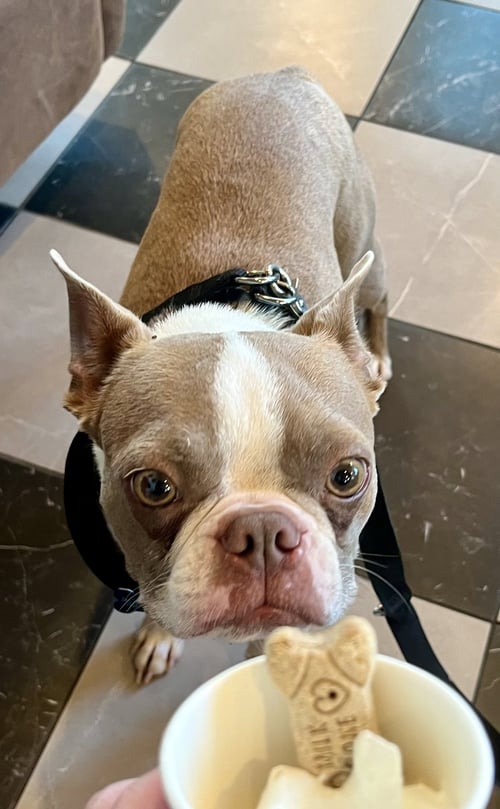 BOWIE