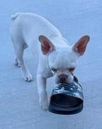 Thor - Photo 4