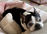 Mia - Photo 3