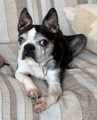 Mia - Photo 4