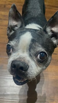 Mia - Photo 8