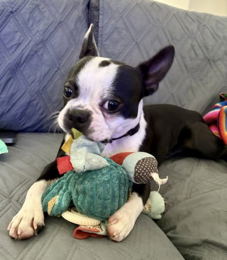 WALTER