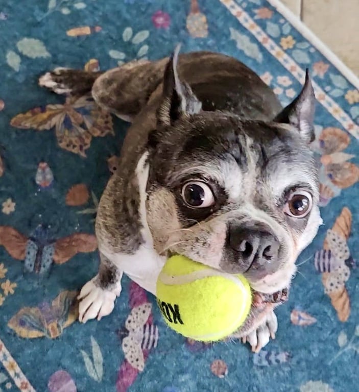 Cooper Image