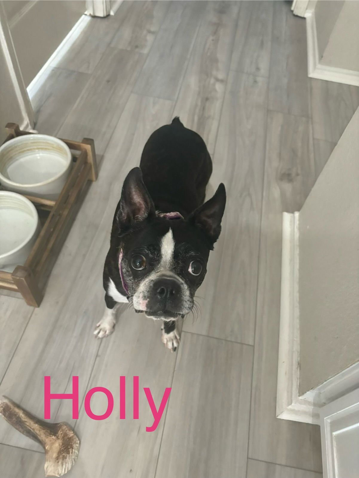 Holly - Photo 5