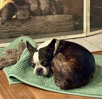Lulu - Photo 4