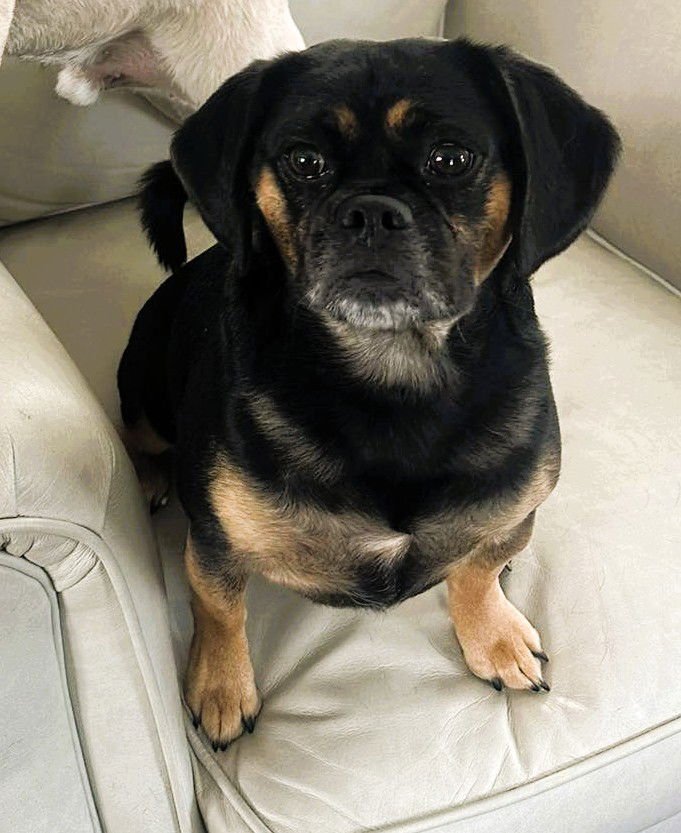 Lady Jenna - Photo 3