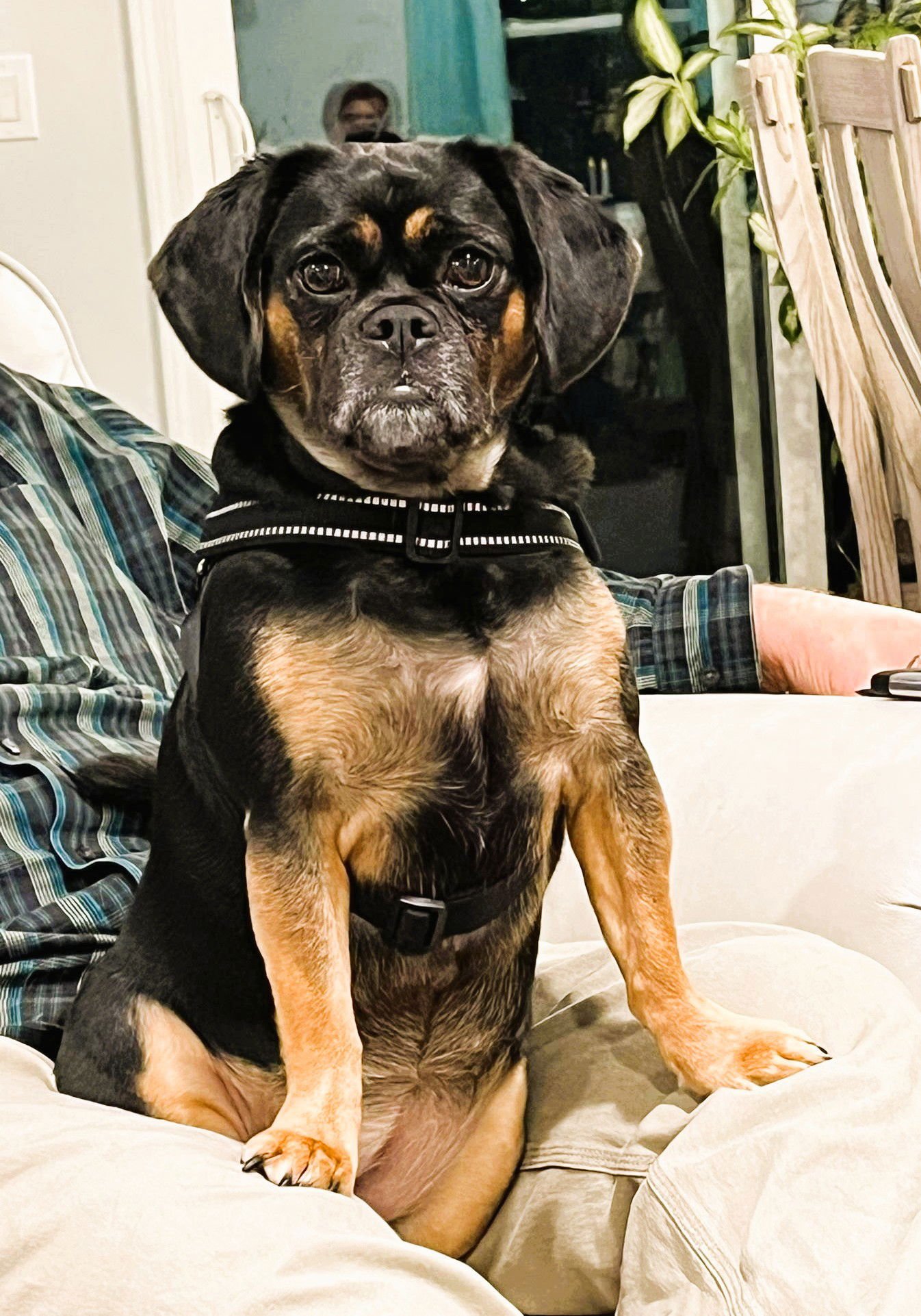 Lady Jenna - Photo 4