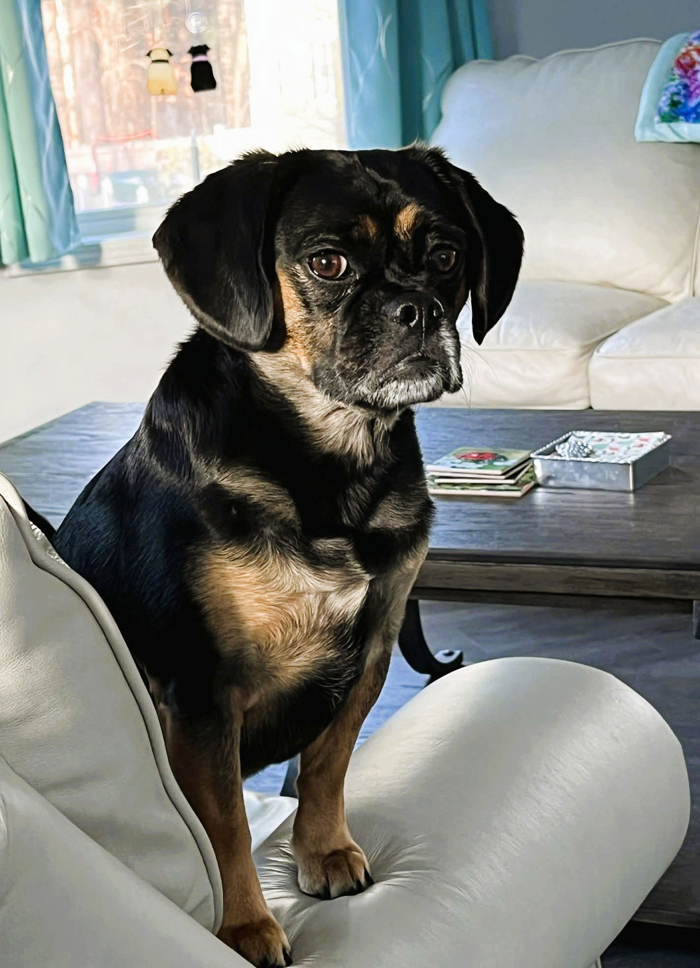 Lady Jenna - Photo 5