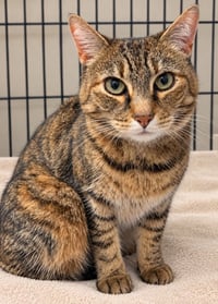 Tabitha - Photo 1