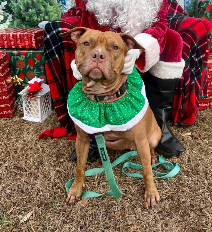Fiona Image