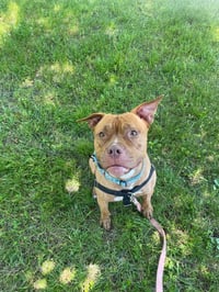 Fiona - Photo 2