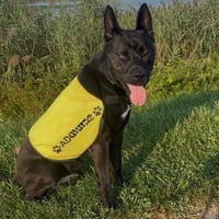 Dante - Photo 3