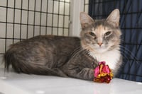Sandy - Photo 2