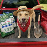 Mack - Photo 1