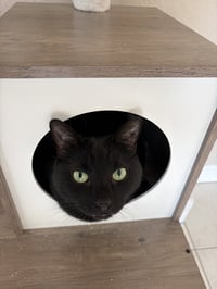 COURTESY POST: Zuko & Bumi - Photo 1