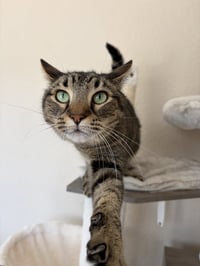 COURTESY POST: Zuko & Bumi - Photo 2