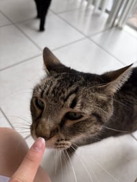 COURTESY POST: Zuko & Bumi - Photo 4